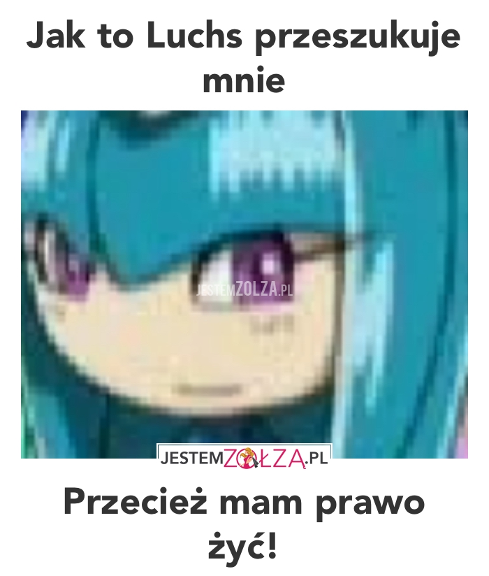 ¥