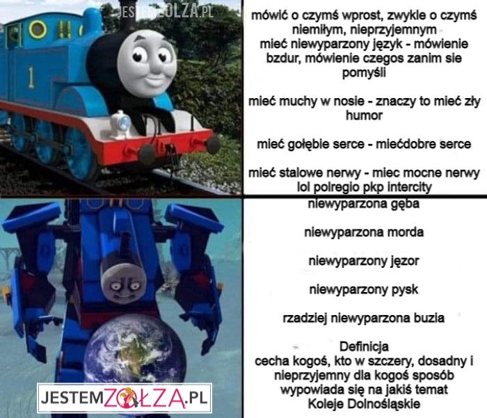 niewyparzony jezyk w polregio , pkp intercity, koleje dolnośląskie, ludzie jestescie nienormalni hmm