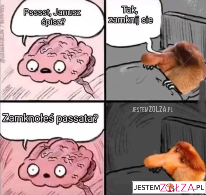 Janusz śpisz? 