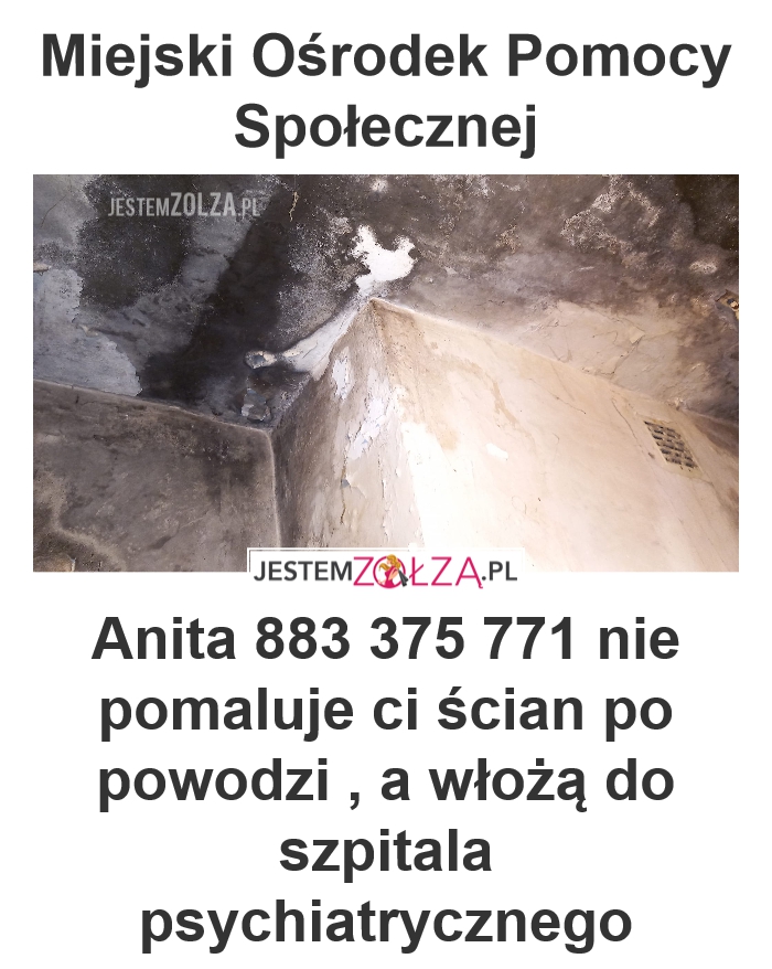 MOPS Wałbrzych