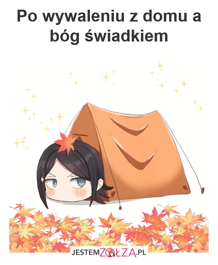 fakt