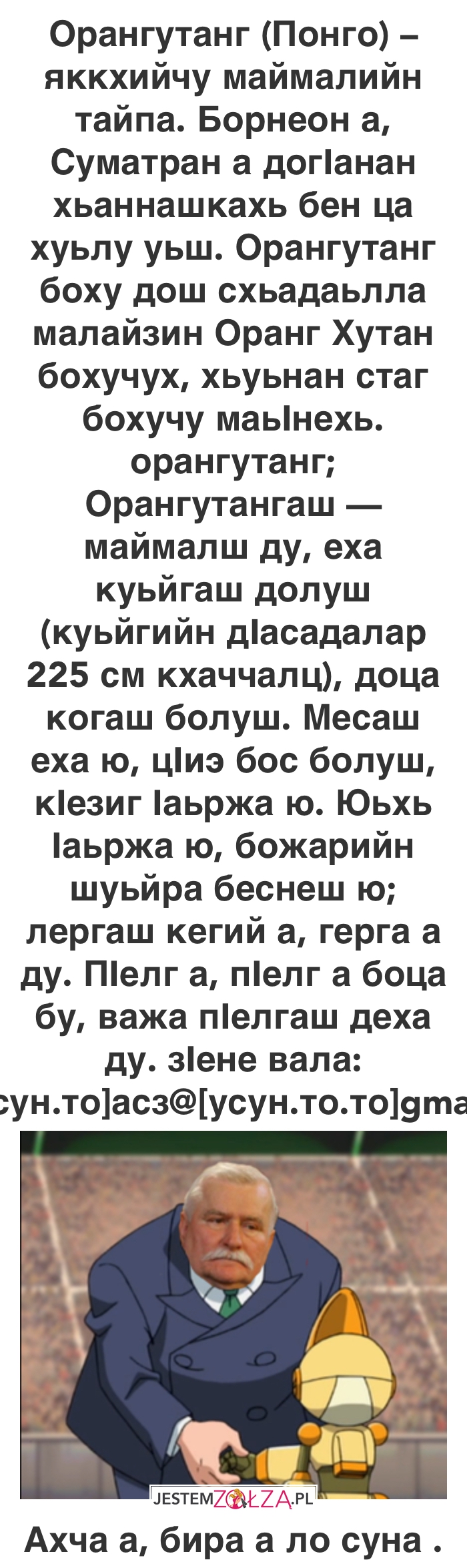 Со циган шпион ву!