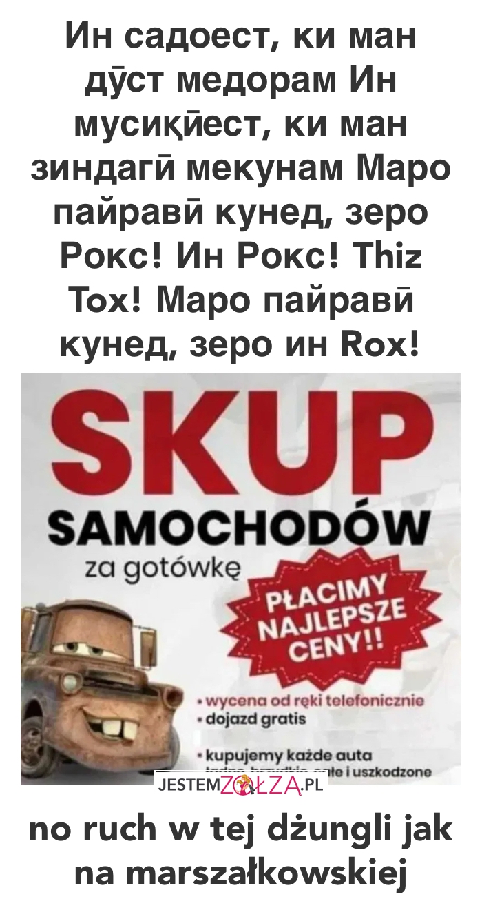 sailor moon piwo cycki